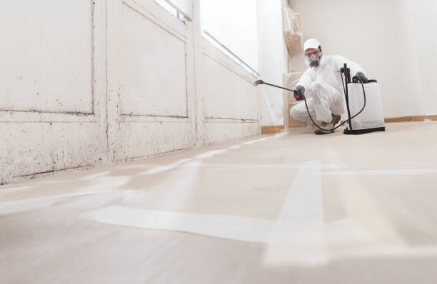24/7 Emergency Black Mold Remediation experts in Mount Airy, NC