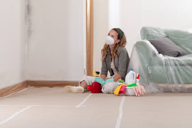Reliable Black Mold Remediation contractor in Mount Airy, NC by Mold Remediation HQ